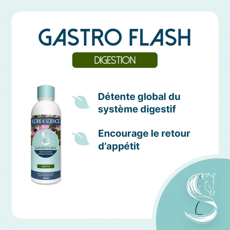 Gastro Flash : Soulage l'Estomac de Votre Cheval